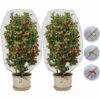 HIASDFLS Filet Pour Arbre Fruitier, Filet De Protection Contre Les Insectes, Lot De 2 Filets De Protection Des Plantes Avec Cordon De Serrage, Filet De Jardin (1 X 1,5 M/Taille De Maille 0,8 Mm) 2 HIASDFLS Filet Pour Arbre Fruitier, Filet De Protection Contre Les Insectes, Lot De 2 Filets De Protection Des Plantes Avec Cordon De Serrage, Filet De Jardin (1 X 1,5 M/Taille De Maille 0,8 Mm) -Protection Pour Végétaux Soldes 61242900 1