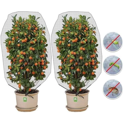 HIASDFLS Filet Pour Arbre Fruitier, Filet De Protection Contre Les Insectes, Lot De 2 Filets De Protection Des Plantes Avec Cordon De Serrage, Filet De Jardin (1 X 1,5 M/Taille De Maille 0,8 Mm) 3 HIASDFLS Filet Pour Arbre Fruitier, Filet De Protection Contre Les Insectes, Lot De 2 Filets De Protection Des Plantes Avec Cordon De Serrage, Filet De Jardin (1 X 1,5 M/Taille De Maille 0,8 Mm)