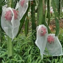 DECKON 1/5/10/20/50/100 Pièces Plantes De Jardin Fruits Filet De Protection Sacs En Filet Contre Les Insectes Anti-insectes Protecteur D'oiseaux 100PCS 10 X 15CM 8 DECKON 1/5/10/20/50/100 Pièces Plantes De Jardin Fruits Filet De Protection Sacs En Filet Contre Les Insectes Anti-insectes Protecteur D'oiseaux 100PCS 10 X 15CM -Protection Pour Végétaux Soldes 61255984 2