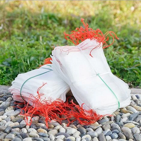 DECKON 1/5/10/20/50/100 Pièces Plantes De Jardin Fruits Filet De Protection Sacs En Filet Contre Les Insectes Anti-insectes Protecteur D'oiseaux 100PCS 10 X 15CM 5 DECKON 1/5/10/20/50/100 Pièces Plantes De Jardin Fruits Filet De Protection Sacs En Filet Contre Les Insectes Anti-insectes Protecteur D'oiseaux 100PCS 10 X 15CM – Image 3