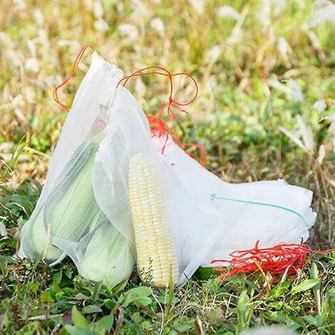 DECKON 1/5/10/20/50/100 Pièces Plantes De Jardin Fruits Filet De Protection Sacs En Filet Contre Les Insectes Anti-insectes Protecteur D'oiseaux 100PCS 10 X 15CM 7 DECKON 1/5/10/20/50/100 Pièces Plantes De Jardin Fruits Filet De Protection Sacs En Filet Contre Les Insectes Anti-insectes Protecteur D'oiseaux 100PCS 10 X 15CM – Image 5