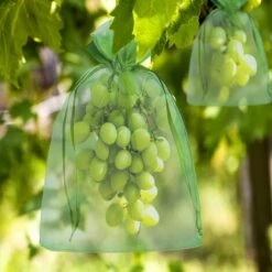 ROSIER 200 Pièces Sac De Protection De Grappes 10*15cm/11*16cm De Raisin Fruits Sac En Organza Avec Cordon Donne Protection Totale Contre Les Guêpes Les Oiseaux Et Autres Insectes——VEBTles