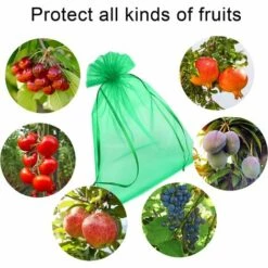 ROSIER 200 Pièces Sac De Protection De Grappes 10*15cm/11*16cm De Raisin Fruits Sac En Organza Avec Cordon Donne Protection Totale Contre Les Guêpes Les Oiseaux Et Autres Insectes——VEBTles -Protection Pour Végétaux Soldes 61335943 4