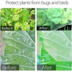 DECKON Filet Anti-insectes,Filet Anti-insectes Végétal,Filet Protection Fleurs,Filet Protection Légumes,Filets Jardin Filet Légumes,Filet Protection ​Oiseaux,Vole Filet De Protection,Filets Jardin -Protection Pour Végétaux Soldes 61645656 3