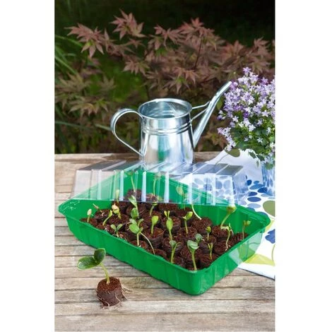 ROMBERG Maison De La Cheville M Plus Coco 36 X 22 X 13 Cm <br /> + 28Coco Comprimés De Printemps 5 ROMBERG Maison De La Cheville M Plus Coco 36 X 22 X 13 Cm <br /> + 28Coco Comprimés De Printemps – Image 3