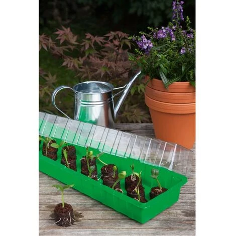 ROMBERG House De La Cheville L Plus Coco 54 X 15 X 12 Cm <br /> + 20 Comprimés De Printemps De Noix De Coco 6 ROMBERG House De La Cheville L Plus Coco 54 X 15 X 12 Cm <br /> + 20 Comprimés De Printemps De Noix De Coco – Image 4