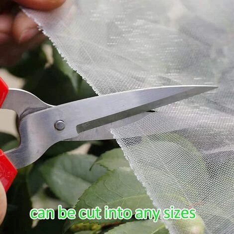 RHAFAYRE Filet Anti Insecte, 2.5 X 10 M Filet De Protection Anti-Insectes, Filet Anti Insecte Potager, Maille Fine Anti-Insecte En Maille, Filets Pour Jardin, Filet Anti-Insectes Pour Légumes 4 RHAFAYRE Filet Anti Insecte, 2.5 X 10 M Filet De Protection Anti-Insectes, Filet Anti Insecte Potager, Maille Fine Anti-Insecte En Maille, Filets Pour Jardin, Filet Anti-Insectes Pour Légumes – Image 2