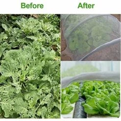 RHAFAYRE Filet De Jardin,10 M X 2.5m Filet Anti Insecte, Filet Anti Insectes Potager, Maille Fine Anti-Insecte En Maille Pour La Protection Des Plantes, Fleurs, Légumes Et Fruits -Protection Pour Végétaux Soldes 63763730 4