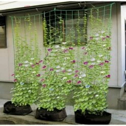 SINCèREETALI 27 Brins De Filets D'escalade Pour Plantes De Jardinage, Melon Et Fruits Gloire Du Matin Fleurs Grimpantes Vignes Grimpantes, Cordes D'escalade, Taille 1,8 * 2,7 M -Protection Pour Végétaux Soldes 63817249 5