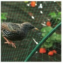 FOZIY Filet De Protection Oiseaux, Filet De Jardin Anti-Oiseau Anti-Feuilles Filet De Bassin En PE Pour Protéger Légumes Fruits Plantes Bassin Jardin Balcon Volaille Elevage,Fonepro 11 FOZIY Filet De Protection Oiseaux, Filet De Jardin Anti-Oiseau Anti-Feuilles Filet De Bassin En PE Pour Protéger Légumes Fruits Plantes Bassin Jardin Balcon Volaille Elevage,Fonepro -Protection Pour Végétaux Soldes 63838867 5