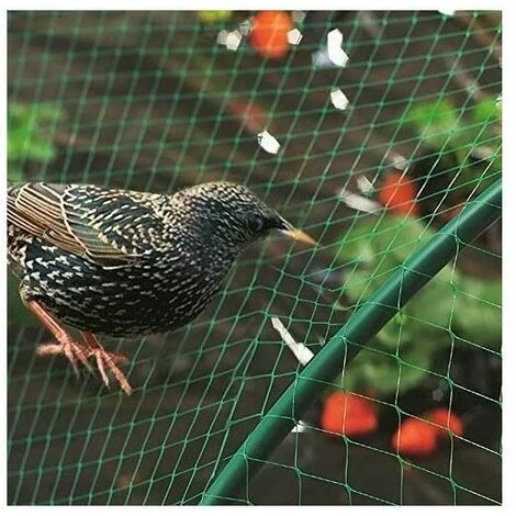 FOZIY Filet De Protection Oiseaux, Filet De Jardin Anti-Oiseau Anti-Feuilles Filet De Bassin En PE Pour Protéger Légumes Fruits Plantes Bassin Jardin Balcon Volaille Elevage,Fonepro 7 FOZIY Filet De Protection Oiseaux, Filet De Jardin Anti-Oiseau Anti-Feuilles Filet De Bassin En PE Pour Protéger Légumes Fruits Plantes Bassin Jardin Balcon Volaille Elevage,Fonepro – Image 5