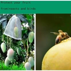 LITZEE 50 Pièces Sacs Protection Fruits, Jardin Plante Fruits Protection Sac, Sacs Filet Pour Plantes Nylon, Pour Protéger Fruits, Prévenir Les Piqûres D'insectes, Rangez De Petits Objets -Protection Pour Végétaux Soldes 63867902 3