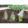 WENKO® 6 Housses Pour Plants - 18,5 X 18,5 X 22 - Transparent 1 WENKO® 6 Housses Pour Plants - 18,5 X 18,5 X 22 - Transparent -Protection Pour Végétaux Soldes 6389585 1