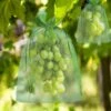 ARC-EN-CIéL 200 Pièces Sac De Protection De Grappes 13*18cm/11*16cm De Raisin Fruits Sac En Organza Avec Cordon Donne Protection Totale Contre Les Guêpes Les Oiseaux Et Autres Insectes Arcenciél