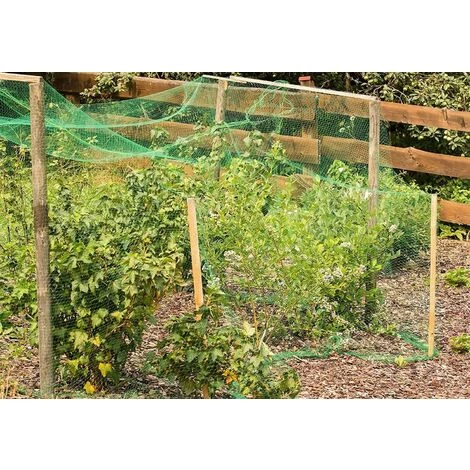ARC-EN-CIéL 10 M X 4 M Filet Anti-Oiseaux,Filet Jardin Anti Oiseaux,Filet Anti Oiseaux Nylon,Protégez Arbres Fruitiers Et Les Légume Des Dommages Causés Par Les Oiseaux Et D'autres Animaux Arcenciél 7 ARC-EN-CIéL 10 M X 4 M Filet Anti-Oiseaux,Filet Jardin Anti Oiseaux,Filet Anti Oiseaux Nylon,Protégez Arbres Fruitiers Et Les Légume Des Dommages Causés Par Les Oiseaux Et D'autres Animaux Arcenciél – Image 5