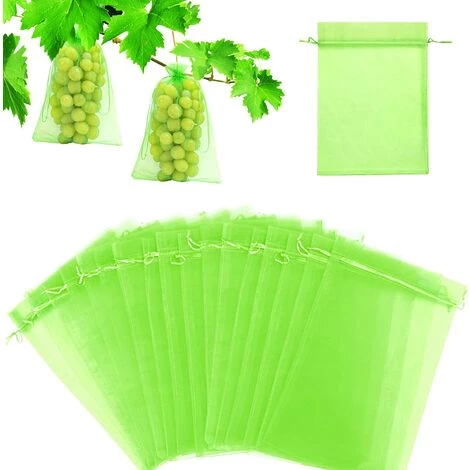 HAZEL Sac Protection Fruits 60 Pièces, Sachet Protection Raisin 20x 30cm Jardin Sac Organza Avec Cordon Contre Guêpe Drosophile Scarabées Oiseaux (Vert Mousse) 3 HAZEL Sac Protection Fruits 60 Pièces, Sachet Protection Raisin 20x 30cm Jardin Sac Organza Avec Cordon Contre Guêpe Drosophile Scarabées Oiseaux (Vert Mousse)