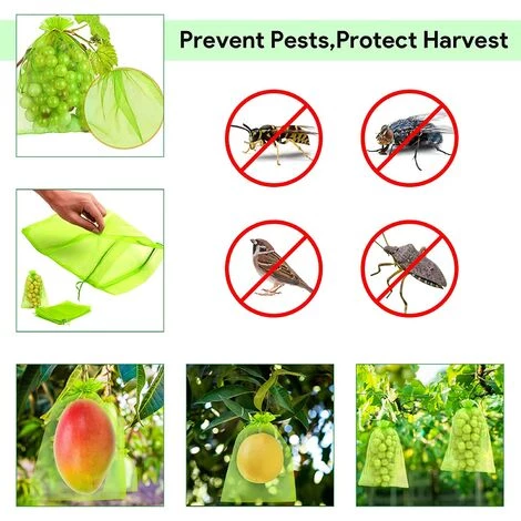 HAZEL Sac Protection Fruits 60 Pièces, Sachet Protection Raisin 20x 30cm Jardin Sac Organza Avec Cordon Contre Guêpe Drosophile Scarabées Oiseaux (Vert Mousse) 5 HAZEL Sac Protection Fruits 60 Pièces, Sachet Protection Raisin 20x 30cm Jardin Sac Organza Avec Cordon Contre Guêpe Drosophile Scarabées Oiseaux (Vert Mousse) – Image 3