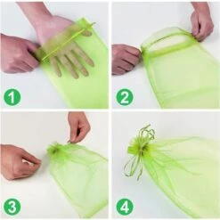 HAZEL Sac Protection Fruits 60 Pièces, Sachet Protection Raisin 20x 30cm Jardin Sac Organza Avec Cordon Contre Guêpe Drosophile Scarabées Oiseaux (Vert Mousse) 11 HAZEL Sac Protection Fruits 60 Pièces, Sachet Protection Raisin 20x 30cm Jardin Sac Organza Avec Cordon Contre Guêpe Drosophile Scarabées Oiseaux (Vert Mousse) -Protection Pour Végétaux Soldes 64197921 5