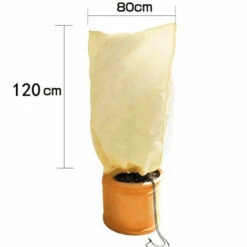 BENOBBY KIDS Bâche De Protection Des Plantes, Bâche D'Hiver Économique Grande Capacité (2 Packs) - 60*80cm -Protection Pour Végétaux Soldes 64417717 2