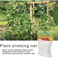 Filet De Treillis Thsinde 1,6 * 5 M, Conception De Filet De Treillis En Polyester Robuste Pour Les Fruits Et Légumes Grimpants, La Culture Hydroponique, Garden Twist Tie Inc 9 Filet De Treillis Thsinde 1,6 * 5 M, Conception De Filet De Treillis En Polyester Robuste Pour Les Fruits Et Légumes Grimpants, La Culture Hydroponique, Garden Twist Tie Inc -Protection Pour Végétaux Soldes 64466535 3