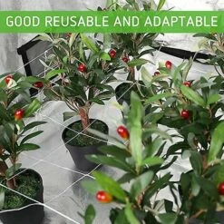 Filet De Treillis Thsinde 1,6 * 5 M, Conception De Filet De Treillis En Polyester Robuste Pour Les Fruits Et Légumes Grimpants, La Culture Hydroponique, Garden Twist Tie Inc 10 Filet De Treillis Thsinde 1,6 * 5 M, Conception De Filet De Treillis En Polyester Robuste Pour Les Fruits Et Légumes Grimpants, La Culture Hydroponique, Garden Twist Tie Inc -Protection Pour Végétaux Soldes 64466535 4