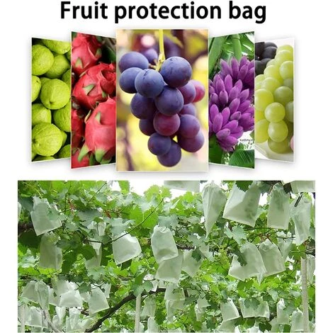 GALOZZOIT Filets De Protection Contre Insectes Et Oiseaux, Sac De Protection Des Fruits Avec Cordon, Sac De Protection Raisin, Protéger Fruits, Fleurs, Légumes, Imperméabiliser, Respirant, 20*30CM, 50 Pièces 4 GALOZZOIT Filets De Protection Contre Insectes Et Oiseaux, Sac De Protection Des Fruits Avec Cordon, Sac De Protection Raisin, Protéger Fruits, Fleurs, Légumes, Imperméabiliser, Respirant, 20*30CM, 50 Pièces – Image 2