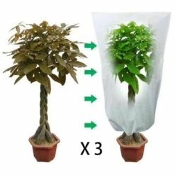 THSINDE Bâche D'hiver Pour La Protection Des Cultures Couverture D'arbre D'hiver Polaire Avec Cordon De Serrage 3pcs 60 X 80cm