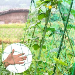 BENOBBY KIDS Filet Pour Plantes Grimpantes, Filet De Treillis De Jardin, 1,8*5m Esportic Filet à Plantes Grimpantes, Filet à Ramer, Filet De Treillis Végétal, Pour Concombre Légume Plante Grimpantes. -Protection Pour Végétaux Soldes 64873365 3