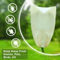 Voile Hivernage Plante , Bache D'hivernage Rouleau, Sac Vegetaux Jardin, Housse De Protection Tomate Arbre Arbuste Citronnier Olivier Palmier (2PC (Cordon), 80 * 100 Cm) 56Vingt -Protection Pour Végétaux Soldes 64939678 3