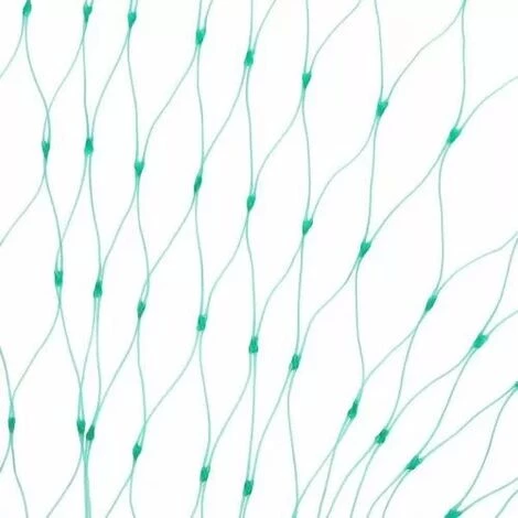 Filet Oiseaux 5 X 10 M 56Vingt 5 Filet Oiseaux 5 X 10 M 56Vingt – Image 3