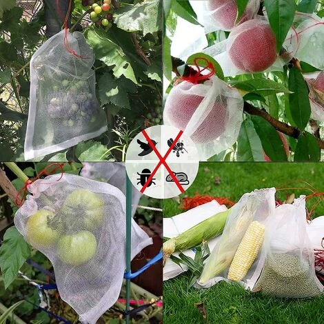 DONTODENT 50 Pices Sac De Protection Des Fruits De Raisin, Sac En Organza Sacs En Maille De Fruits Réutilisables Avec Sacs De Rangement à Cordon 6 DONTODENT 50 Pices Sac De Protection Des Fruits De Raisin, Sac En Organza Sacs En Maille De Fruits Réutilisables Avec Sacs De Rangement à Cordon – Image 4