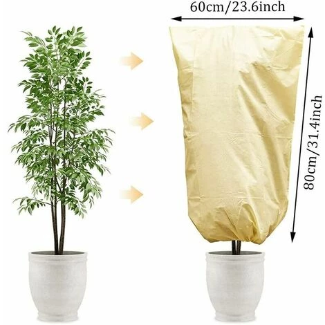L'FLANEUR 2PCS Housse D'hivernage Pour Plante, Tissu Non Tissé Voile D Hivernage Des Plantes Réutilisable Avec Cordon De Serrage Convient Pour La Protection Des Plantes En Extérieur En Hiver 80 X 60cm Beig ANEUR 4 L'FLANEUR 2PCS Housse D'hivernage Pour Plante, Tissu Non Tissé Voile D Hivernage Des Plantes Réutilisable Avec Cordon De Serrage Convient Pour La Protection Des Plantes En Extérieur En Hiver 80 X 60cm Beig ANEUR – Image 2