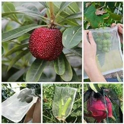 L'FLANEUR 100pcs Sachets De Protection Pour Plantes, Sac En Nylon De Fruits De Maille Sac à Cordon Avec Cordon Contre Insecte Ravageur Oiseau Outils De Jardinage Pour Les Tomates Aubergines Les Raisins Pommes ANEUR -Protection Pour Végétaux Soldes 65357200 3