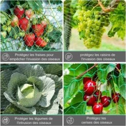 Filet Anti Oiseaux,4 * 10m Vert Jardin Oiseau Filet De Pour Plante Filet De Protection,Protéger Les Plantes, Les Fruits, Les Fleurs Et Les Légumes, 10pcs Pointes De Terre+10pcs Cravates S'arêern -Protection Pour Végétaux Soldes 65358819 2