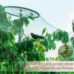 Filet Anti Oiseaux,4 * 10m Vert Jardin Oiseau Filet De Pour Plante Filet De Protection,Protéger Les Plantes, Les Fruits, Les Fleurs Et Les Légumes, 10pcs Pointes De Terre+10pcs Cravates S'arêern -Protection Pour Végétaux Soldes 65358819 4