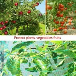 Filet Anti Oiseaux,4 * 10m Vert Jardin Oiseau Filet De Pour Plante Filet De Protection,Protéger Les Plantes, Les Fruits, Les Fleurs Et Les Légumes, 10pcs Pointes De Terre+10pcs Cravates S'arêern -Protection Pour Végétaux Soldes 65358819 5
