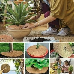 6pcs Noix De Coco Bucket Disc Cover Protection Contre Le Gel Protection Hivernale Pour Les Plantes En Pot Diamètre 20 Cm S'arêern -Protection Pour Végétaux Soldes 65363807 5