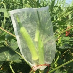 OSQI 100 Pièces Jardin Plante Fruits Protection Sac Cordon Filet Sac Insecte Moustique Insecte Ravageur Oiseaux Jardin Protéger Sacs 10 Cm X 15 Cm -Protection Pour Végétaux Soldes 65502374 3