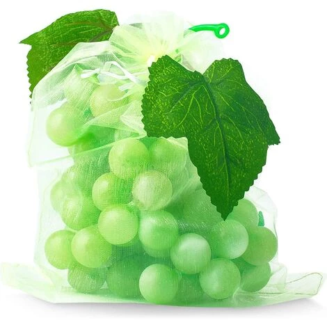 LADACèE 100 Sac Protection Fruits Sacs Filets Protection Des Grappes De Raisins Contre Les Oiseaux Et Insectes Guêpes Frelons 30 X 20 Cm 6 LADACèE 100 Sac Protection Fruits Sacs Filets Protection Des Grappes De Raisins Contre Les Oiseaux Et Insectes Guêpes Frelons 30 X 20 Cm – Image 4