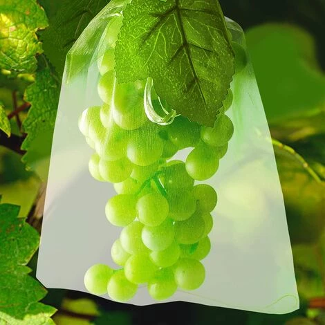 LADACèE 100 Sac Protection Fruits Sacs Filets Protection Des Grappes De Raisins Contre Les Oiseaux Et Insectes Guêpes Frelons 30 X 20 Cm 7 LADACèE 100 Sac Protection Fruits Sacs Filets Protection Des Grappes De Raisins Contre Les Oiseaux Et Insectes Guêpes Frelons 30 X 20 Cm – Image 5