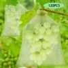 PERLE RARE Sac De Protection Grape Bunch, 120 Pièces 3 Tailles Sac De Protection De Fruits, Sac En Organza Avec Cordon De Serrage Pour Garder Les Guêpes Et Autres Insectes à L'extérieur -Protection Pour Végétaux Soldes 65619966 1