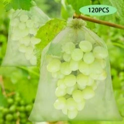 PERLE RARE Sac De Protection Grape Bunch, 120 Pièces 3 Tailles Sac De Protection De Fruits, Sac En Organza Avec Cordon De Serrage Pour Garder Les Guêpes Et Autres Insectes à L'extérieur