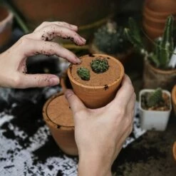 FR-LIFE BR-Vie 4 Pièces Tapis De Coco Plantes, Disque De Protection Plante, Tapis De Noix De Coco Disque Paillis Pot Tapis De Protection Des Plantes Pour Le Jardin De L'hôtel à La Maison (30 Cm) -Protection Pour Végétaux Soldes 65711832 4