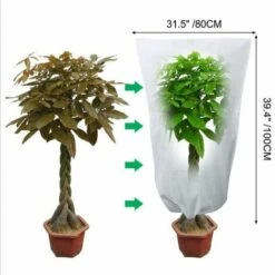 BEARSU 3pcs Couverture De Plante Chaude Arbuste Sac De Protection Protection Contre Le Gel Pour Les Plantes De Jardin De Cour Petit Arbre Hiver Contre Le Froid 9 BEARSU 3pcs Couverture De Plante Chaude Arbuste Sac De Protection Protection Contre Le Gel Pour Les Plantes De Jardin De Cour Petit Arbre Hiver Contre Le Froid -Protection Pour Végétaux Soldes 65844477 3