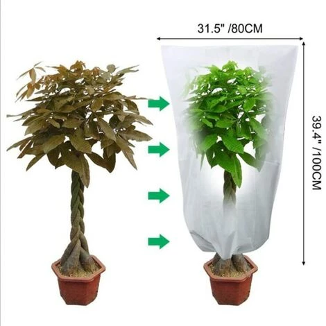 BEARSU 3pcs Couverture De Plante Chaude Arbuste Sac De Protection Protection Contre Le Gel Pour Les Plantes De Jardin De Cour Petit Arbre Hiver Contre Le Froid 5 BEARSU 3pcs Couverture De Plante Chaude Arbuste Sac De Protection Protection Contre Le Gel Pour Les Plantes De Jardin De Cour Petit Arbre Hiver Contre Le Froid – Image 3