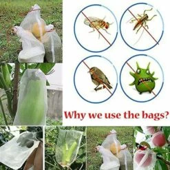 THSINDE 50pcs Sacs De Protection De Fruits De Raisin, Sacs En Organza Sacs En Filet De Fruits Recyclables Avec Sacs De Rangement à Cordon -Protection Pour Végétaux Soldes 65915826 3