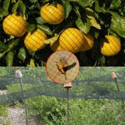OSQI Filet Anti Oiseaux, 4m X 10m Filet Oiseaux, Filet Protection Oiseaux, Filet Arbre Fruitier, Filet Oiseaux Noir Protégez Arbres Fruitiers Et Les Légume Des Dommages Causés -Protection Pour Végétaux Soldes 65988693 4