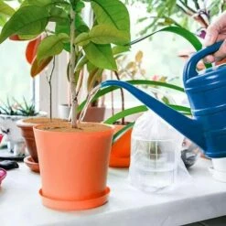 OSQI 6 Pièces Disque De Paillage,Protection D'hiver Pour Plantes En Pot,Plantes Protection Tapis,Biodégradable Tapis De Coco Plantes Pour Le Jardinage,20cm -Protection Pour Végétaux Soldes 65989535 5