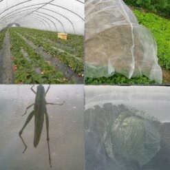 HELLO KITTY BAIN Filet De Fenêtre En Nylon Anti-poussière Moustiquaire Moustiquaire Sac Emballage Moustiquaire 2.5*6m -Protection Pour Végétaux Soldes 66025833 3