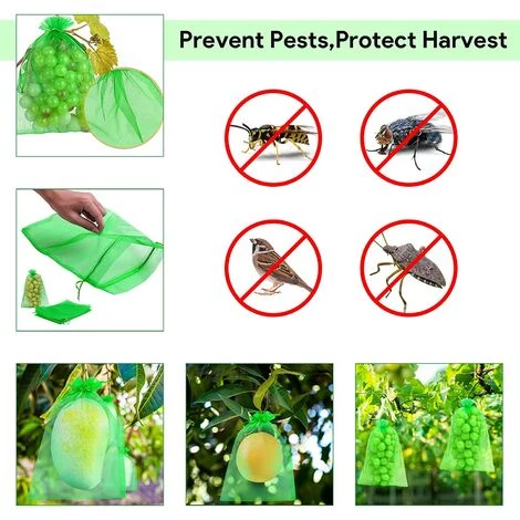 THSINDE Sac Protection Fruits 50 Pièces, Sachet Protection Raisin 20x 30cm Jardin Sac Organza Avec Cordon Contre Guêpe Drosophile Scarabées Oiseaux (Vert) 4 THSINDE Sac Protection Fruits 50 Pièces, Sachet Protection Raisin 20x 30cm Jardin Sac Organza Avec Cordon Contre Guêpe Drosophile Scarabées Oiseaux (Vert) – Image 2